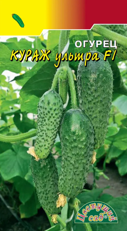 Огурец Кураж 10шт ЦС от магазина nik-ron.ru