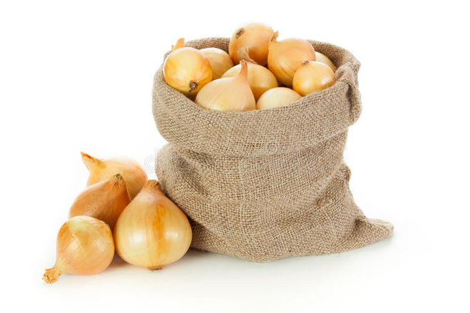 Лук севок от магазина nik-ron.ru